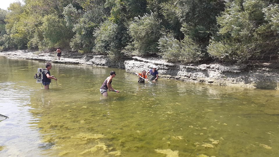 Immagine per Siccità nell'Isonzo, salvati i pesci ma rimane l'allerta per la salute del fiume